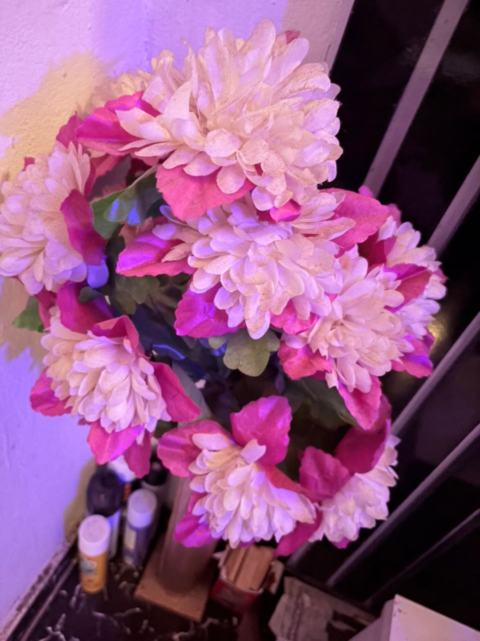 SItting Room flower